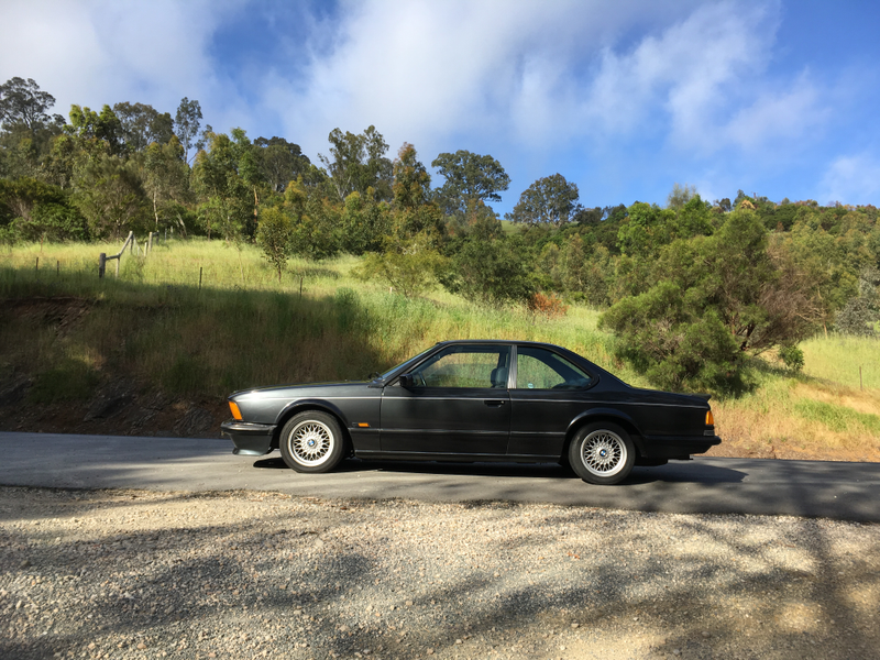 Illustration for article titled BMW 635CSi. Adelaide Hills. Springtime. Goodtime.